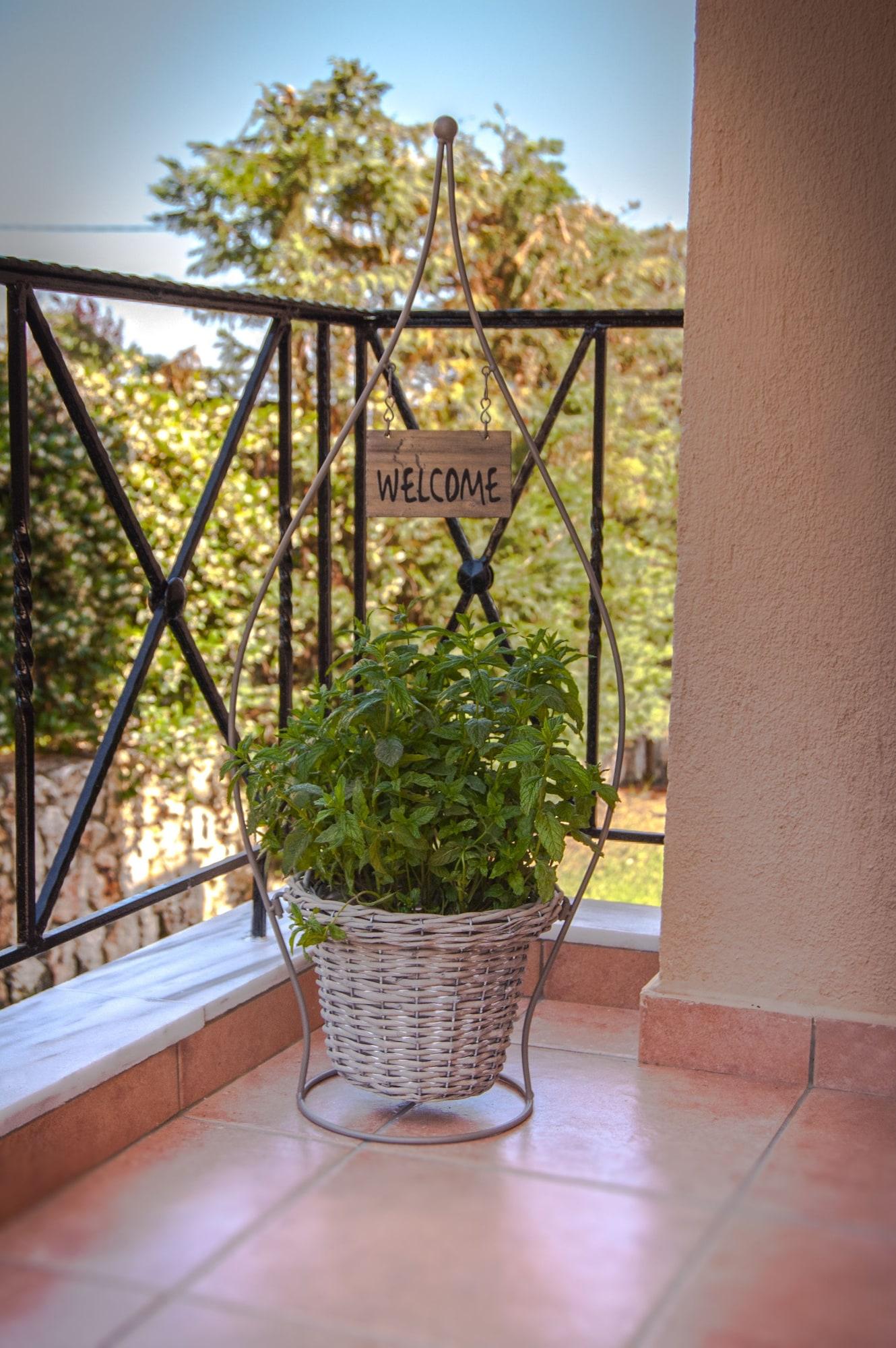 Kefalonia Houses أرغوستولي المظهر الخارجي الصورة